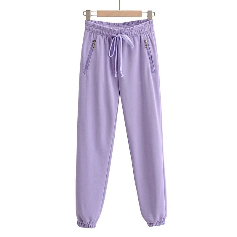 Drawstring Elastic Waist Sweatpants